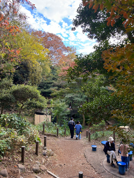 Day #3 - From Kimonos to Bonobos: Best of Asakusa & Ueno Park (8 hours)