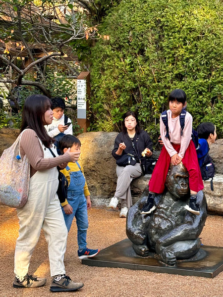 Day #6 - Sumo Schools & Hokusai Museum (8 Hours)