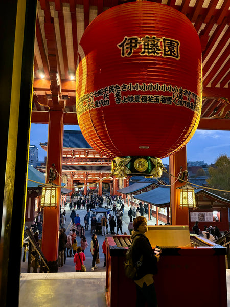 Day #3 - From Kimonos to Bonobos: Best of Asakusa & Ueno Park (8 hours)