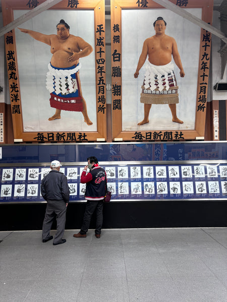 Day #6 - Sumo Schools & Hokusai Museum (8 Hours)