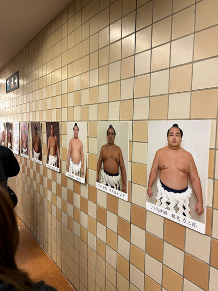 Day #6 - Sumo Schools & Hokusai Museum (8 Hours)