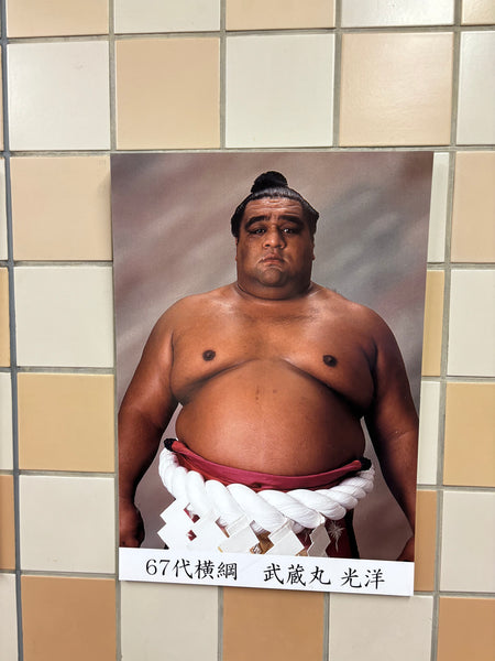 Day #6 - Sumo Schools & Hokusai Museum (8 Hours)